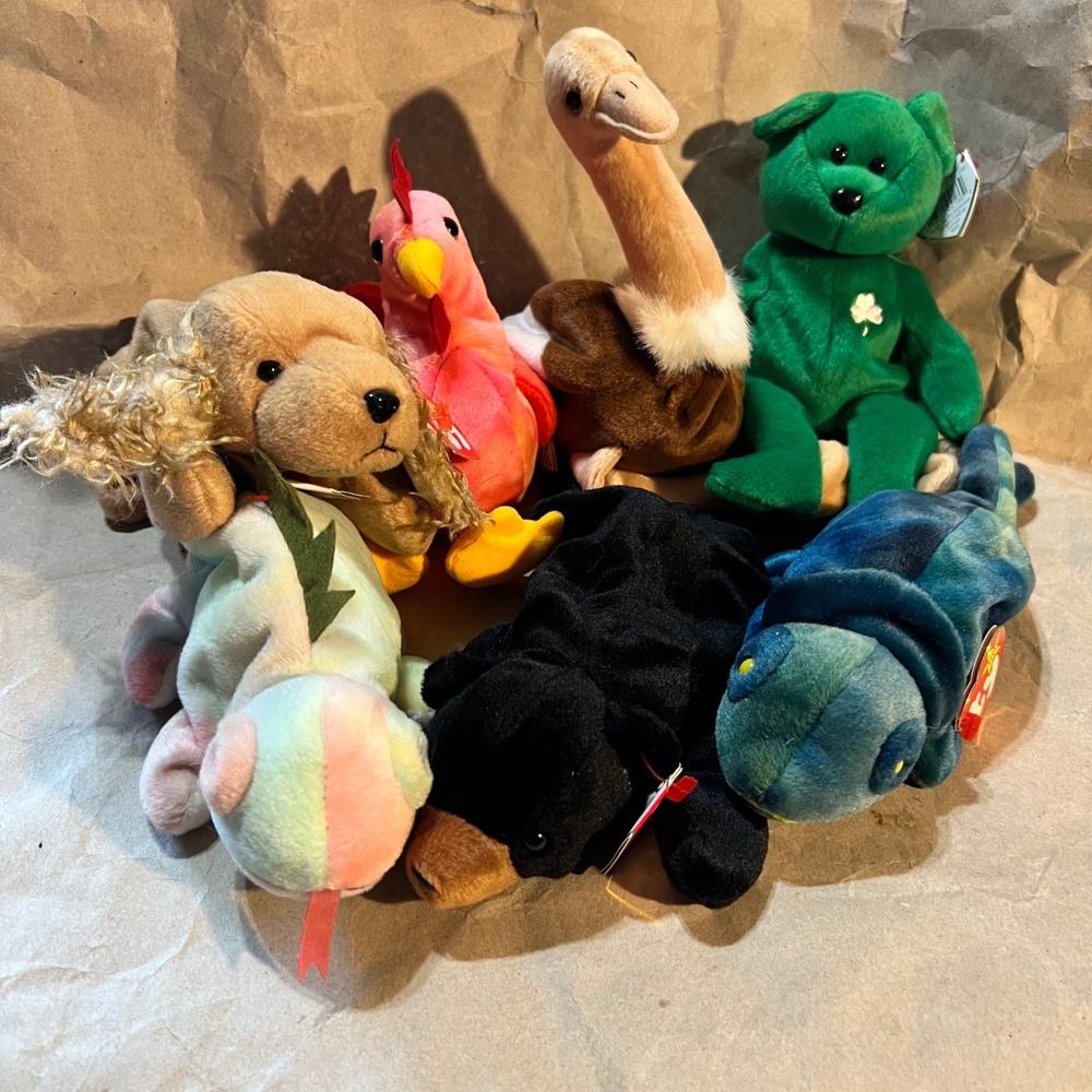 Ty Small Beanie Babies Lot Multicolor Erin Bear Stretch Ostrich Rainbow Iggy 7pc